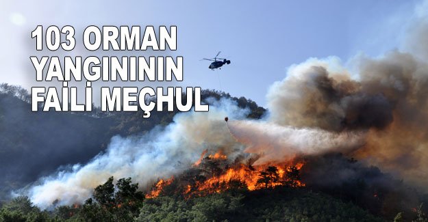 103 orman yangınının faili meçhul