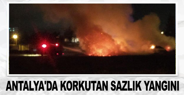 Antalya'da korkutan sazlık yangını