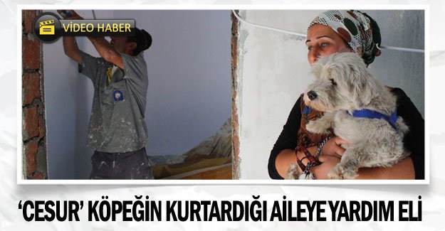 ’Cesur’ köpeğin kurtardığı aileye yardım eli
