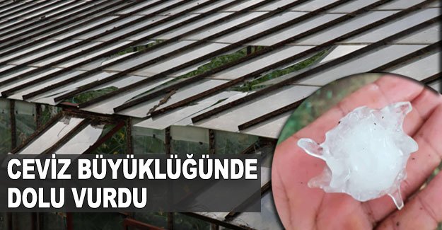 Ceviz büyüklüğünde dolu vurdu