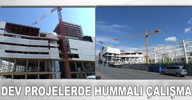 Dev projelerde hummalı çalışma