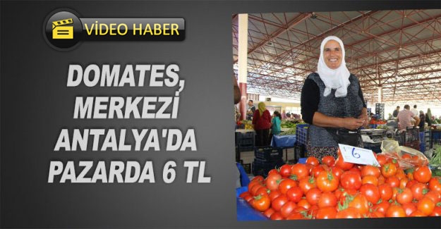 Domates, merkezi Antalya'da pazarda 6 TL