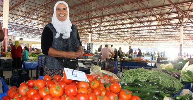 Domatesin fiyatı düştü