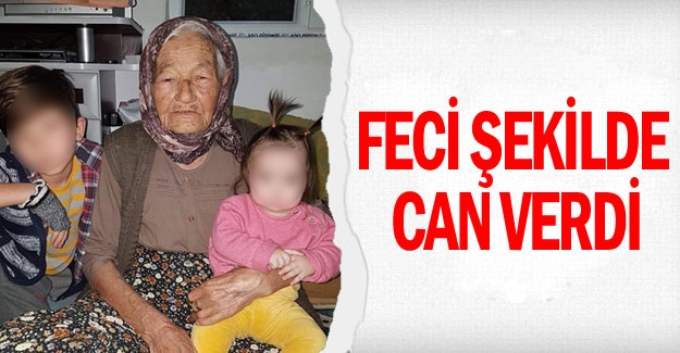 Feci şekilde can verdi