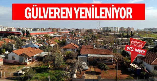 Gülveren yenileniyor