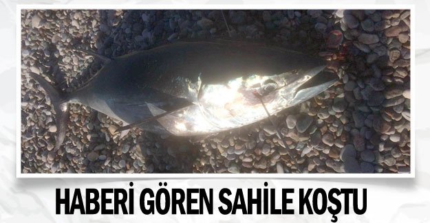 Haberi gören sahile koştu