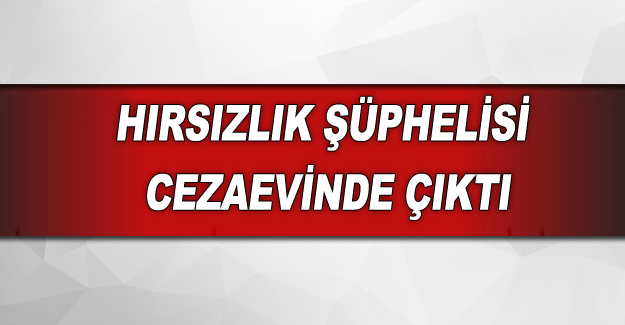 Hırsızlık şüphelisi cezaevinde çıktı