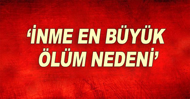 ‘İnme en büyük ölüm nedeni’