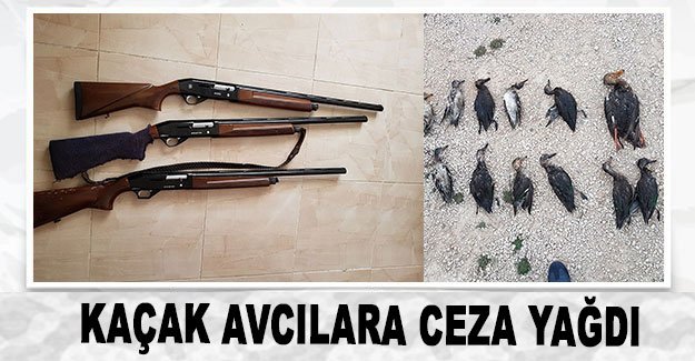 Kaçak avcılara ceza yağdı
