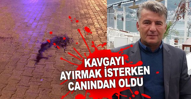 Kavgayı ayırmak isterken canından oldu