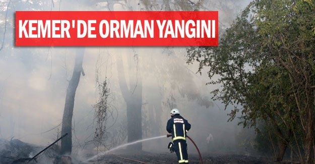Kemer'de orman yangını