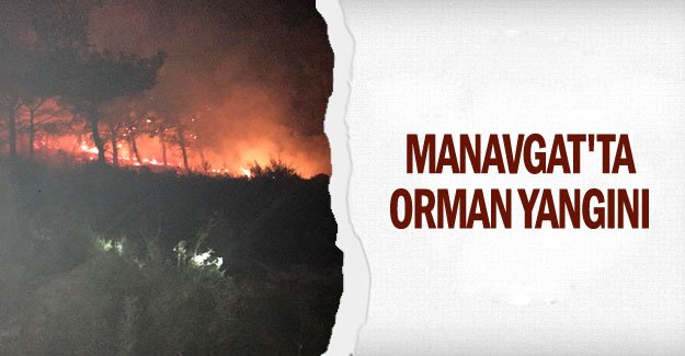 Manavgat'ta orman yangını