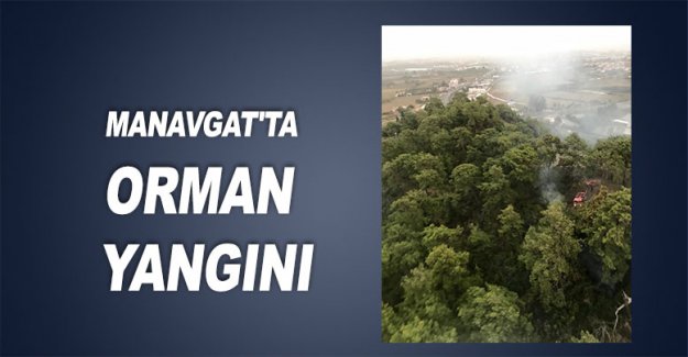 Manavgat'ta orman yangını
