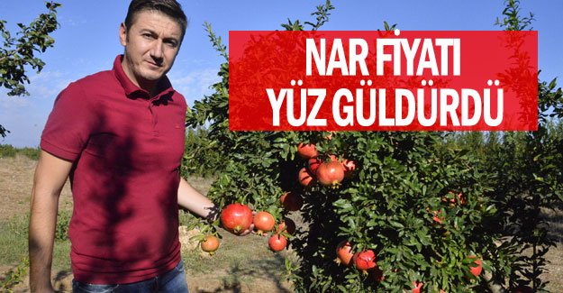 Nar fiyatı yüz güldürdü