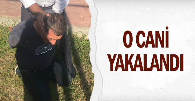 O cani yakalandı