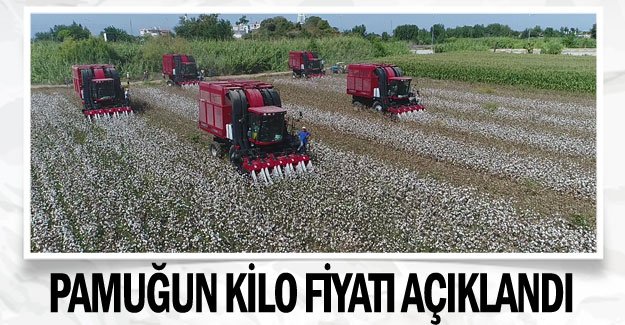 Pamuğun kilo fiyatı açıklandı