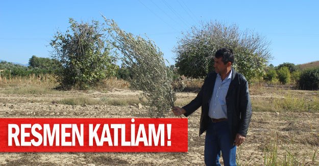 Resmen katliam!
