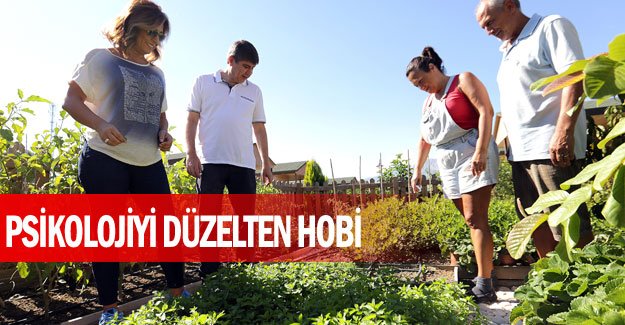 Şekeri düşüren, psikolojiyi düzelten hobi