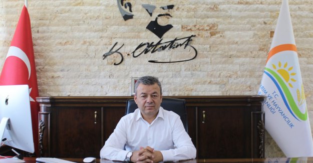 Tarımsal üretimin iş gücünü kadınlar oluşturuyor