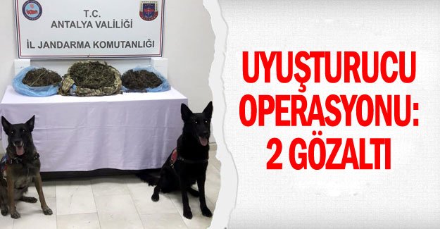 Uyuşturucu operasyonu: 2 gözaltı