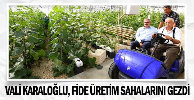 Vali Karaloğlu, fide üretim sahalarını gezdi