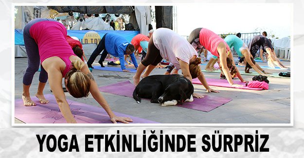 Yoga etkinliğinde sürpriz
