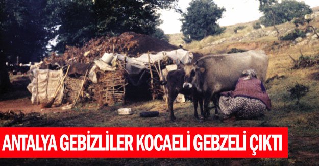 Antalya Gebizliler Kocaeli Gebzeli çıktı