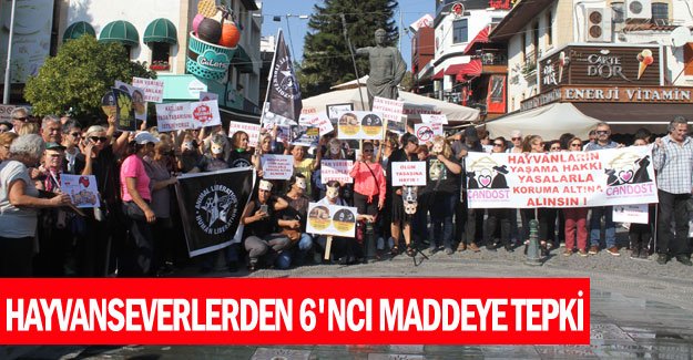 Hayvanseverlerden 6'ncı maddeye tepki