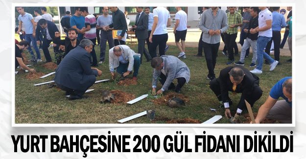 Yurt bahçesine 200 gül fidanı dikildi