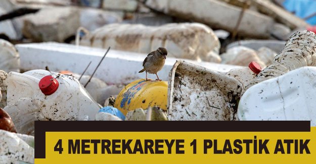 4 metrekareye 1 plastik atık
