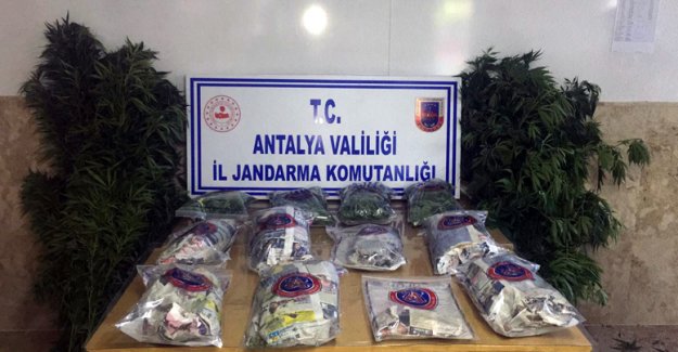 Antalya'da 24 kilo esrar ele geçirildi