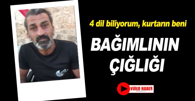 BAĞIMLININ ÇIĞLIĞI