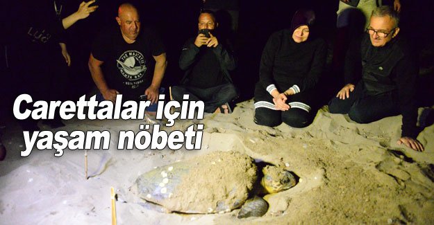 Carettalar için yaşam nöbeti