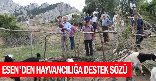 Esen'den hayvancılığa destek sözü
