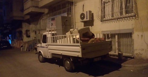 Ev-kurcu kediler