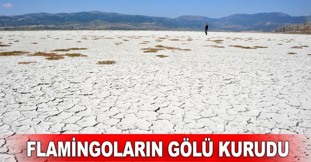Flamingoların gölü kurudu