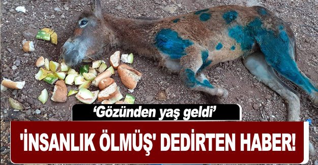 'İnsanlık ölmüş' dedirten haber!