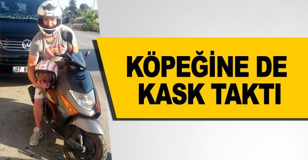 Köpeğine de kask taktı