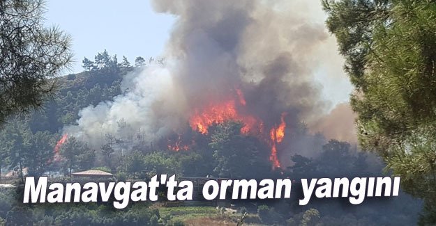 Manavgat'ta orman yangını