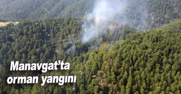 Manavgat’ta orman yangını
