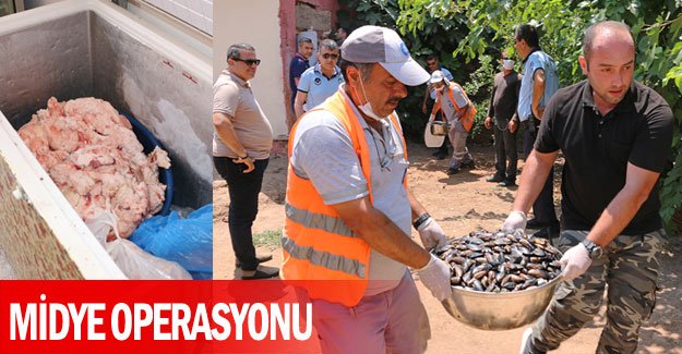 Midye operasyonu
