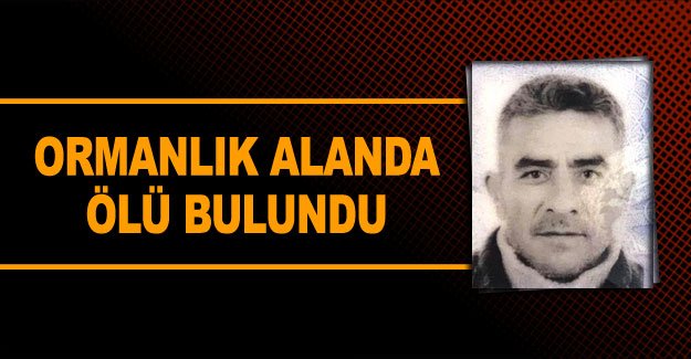 Ormanlık alanda ölü bulundu