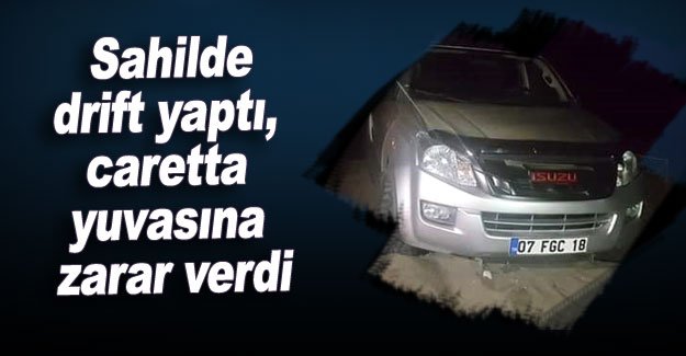 Sahilde drift yaptı, caretta yuvasına zarar verdi
