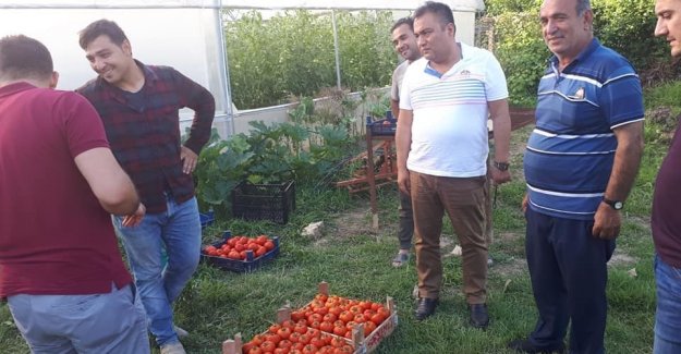 Seracılığı anlattılar