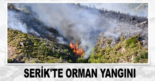 SERİK'TE ORMAN YANGINI