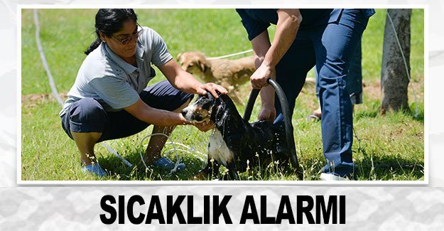 SICAKLIK ALARMI