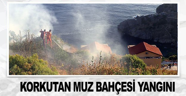 Villaların yamacında korkutan muz bahçesi yangını