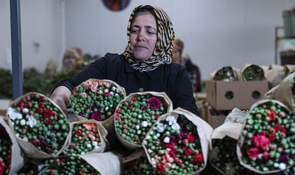 Anneler Günü için Rusya ve Ukrayna dahil 33 ülkeye 70 milyon dallık çiçek ihracatı