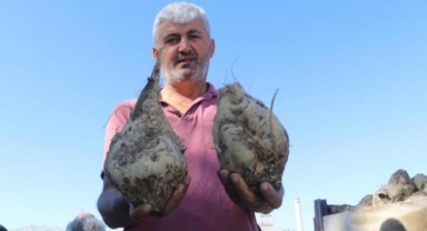 Şeker Fabrikası'nda kampanya dönemi başladı