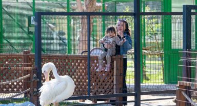 Tarsus Doğa Parkı, yarı yıl tatilinde çocukları ağırlıyor